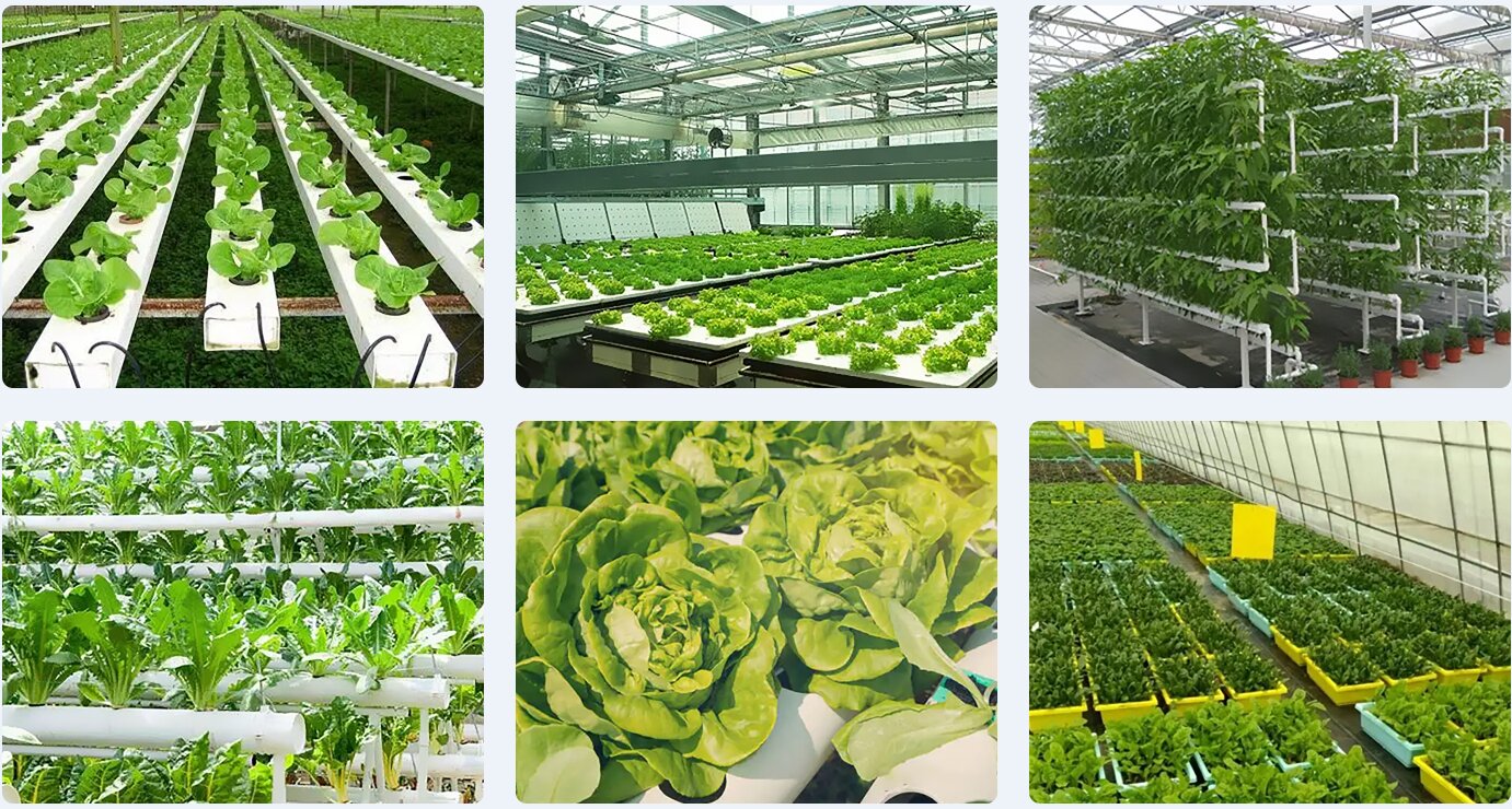 萬棚數據公司無土栽培智能水肥一體機產品適用范圍