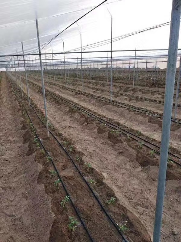 山東萬棚智能水肥一體化丨灌水器系統