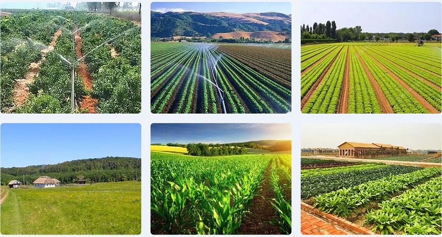 山東萬棚多要素環(huán)境采集傳感器產(chǎn)品適用范圍廣泛