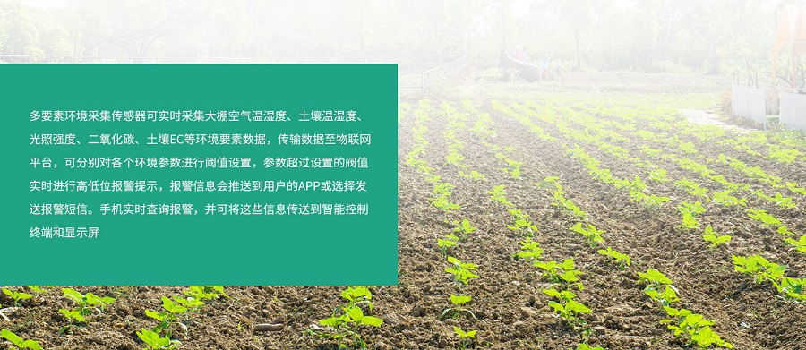 什么是山東萬棚多要素環(huán)境采集傳感器