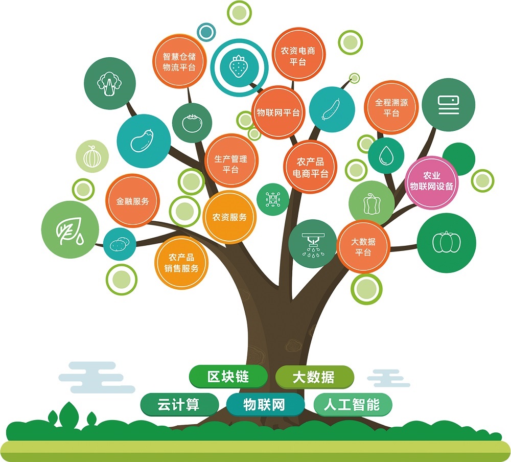 山東棚聯(lián)棚數(shù)據(jù)技術(shù)公司簡介