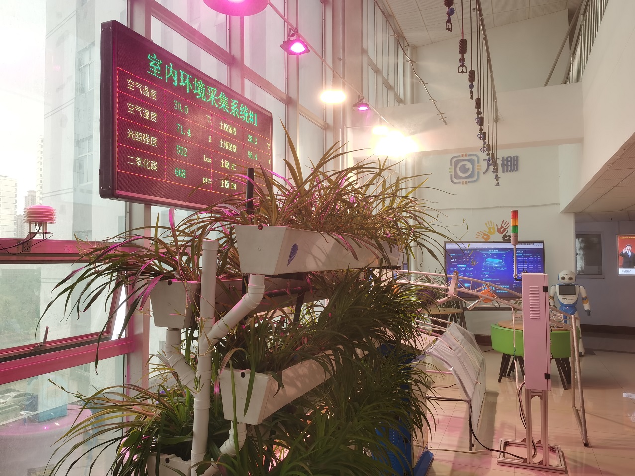 萬棚數字農業迎來新機遇 智能化助力農業加速發展