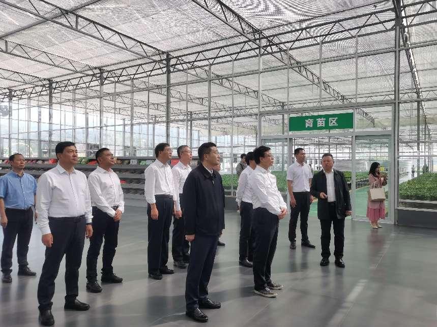 萬棚以數字賦能 助力打造東西部產業協作“樣板間”