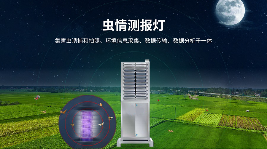 蟲情測報燈